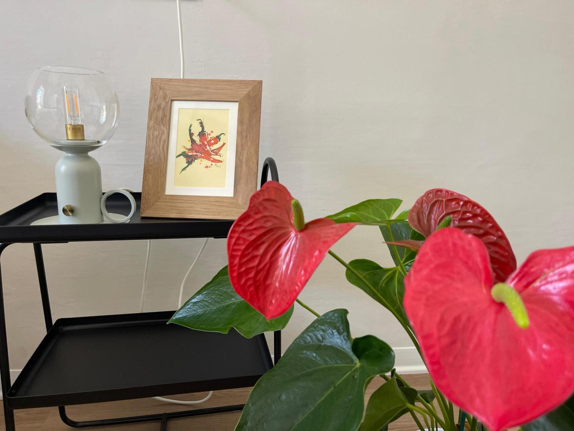 La Dimora Di Annika Apartment Ориа Екстериор снимка
